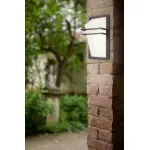 Накладной светильник Eglo Park 83433 Цвет арматуры серый