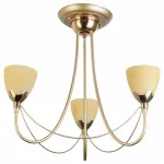 Подвесная люстра TopLight Lucia TL3630X-03MG 