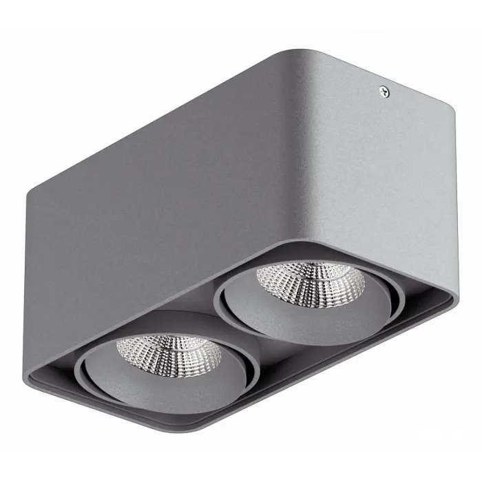 Накладной светильник Lightstar Monocco 212529 от ImperiumLoft