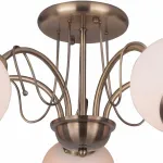 Потолочная люстра TopLight Octavia TL3760X-05AB 