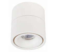 Светильник на штанге ST-Luce ST652 ST652.532.12 Цвет арматуры Белый Цвет плафонов Белый