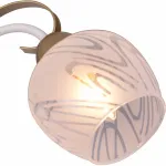 Потолочная люстра TopLight Samantha TL3690X-03WG 