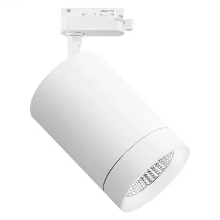 Светильник на штанге Lightstar Canno 303262 от ImperiumLoft