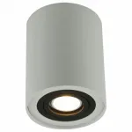 Накладной светильник Arte Lamp 5644 A5644PL-1WH Цвет арматуры белый Цвет плафонов белый
