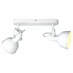 Спот Arte Lamp Martin A5213AP-2WG Цвет арматуры золото Цвет плафонов золото от ImperiumLoft