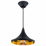 Подвесной светильник Citilux Эдисон CL450209 Цвет арматуры черный Цвет плафонов черный от ImperiumLoft