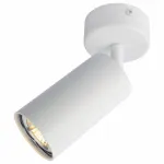 Спот Arte Lamp 3216 A3216PL-1WH Цвет арматуры белый Цвет плафонов белый
