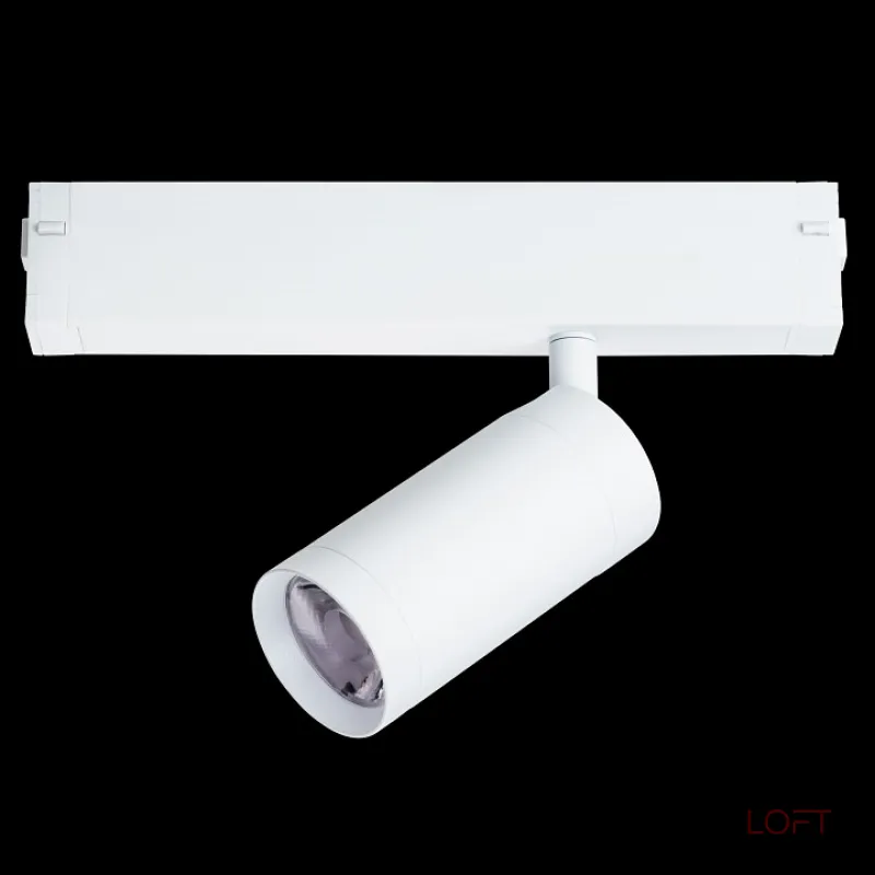 Светильник на штанге Lightstar Teta 205026 от ImperiumLoft Светильник на штанге Lightstar Teta 205026 от ImperiumLoft