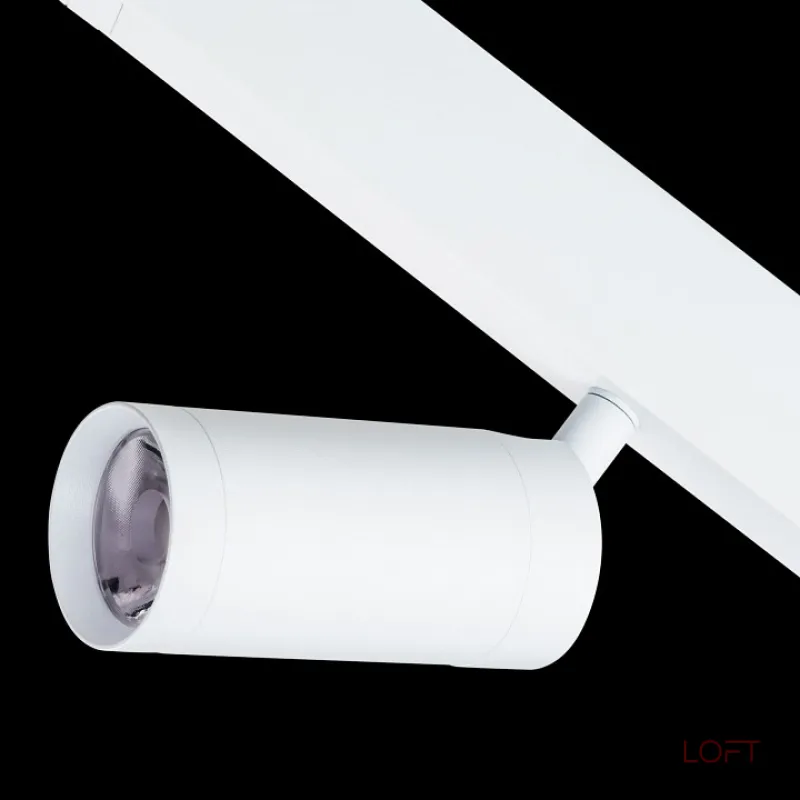 Светильник на штанге Lightstar Teta 205026 от ImperiumLoft Светильник на штанге Lightstar Teta 205026 от ImperiumLoft