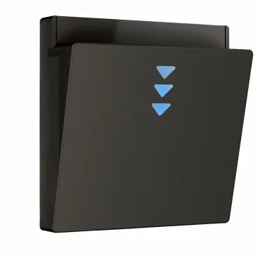 Накладка для электронного карточного выключателя Werkel черный a062006