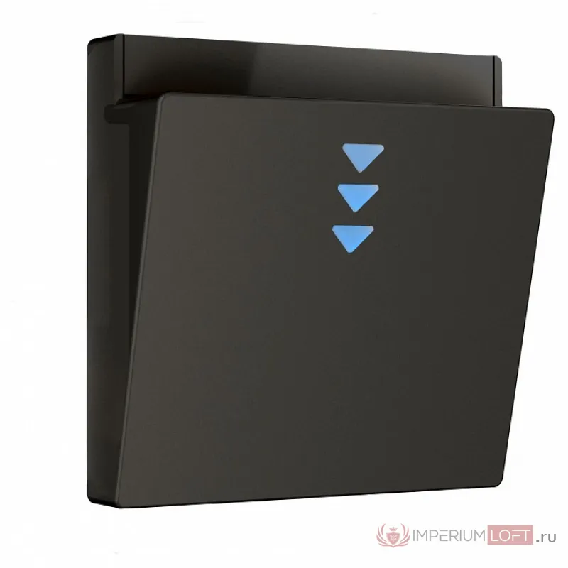Накладка для электронного карточного выключателя Werkel черный a062006 от ImperiumLoft