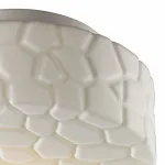 Потолочный светильник Arte Lamp Aqua A5320PL-1WH
