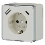 Розетка с заземлением, шторками и USB Werkel Gallant слоновая кость W5071703