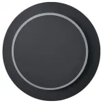 Накладной светильник Vele Luce Runo 742 VL8012W02 Цвет арматуры черный Цвет плафонов черный