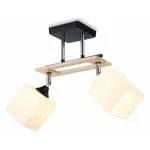 Потолочный светильник Ambrella Modern TR TR9503