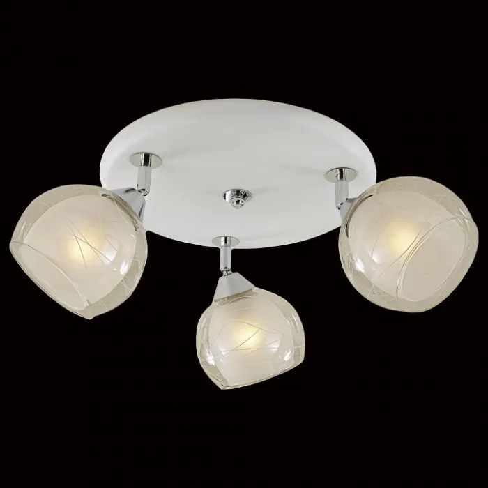 Спот Citilux Самба CL158131 Цвет арматуры хром от ImperiumLoft