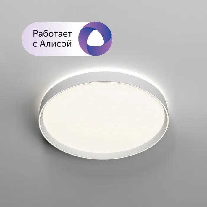 Накладной светильник Denkirs Plato DK6511-WH от ImperiumLoft