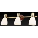 Спот TopLight Sharyl TL3720Y-03BB Цвет арматуры бронза Цвет плафонов белый