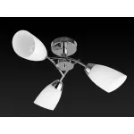 Потолочная люстра TopLight Carmel TL3600X-03CH 