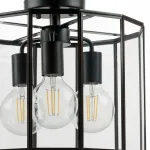 Потолочный светильник Lightstar Genni 798237 