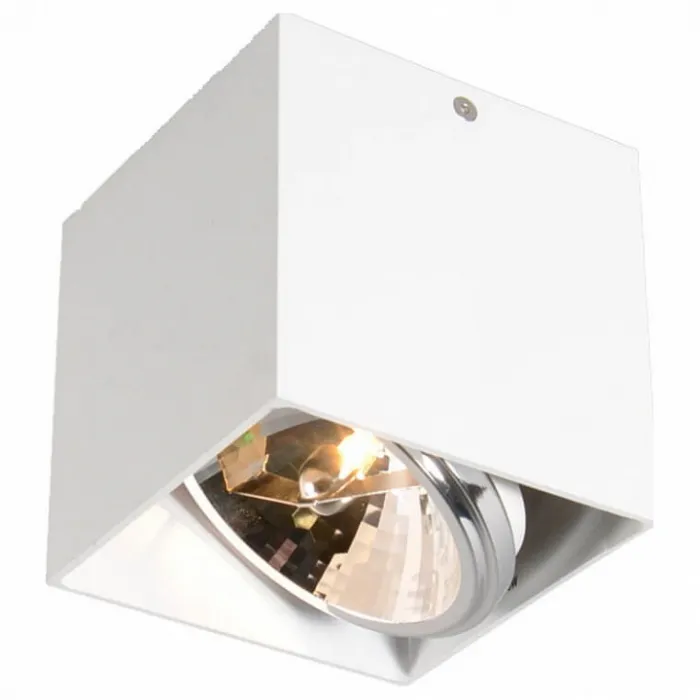 Спот Zumaline Box Sl 89947-G9 от ImperiumLoft