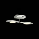 Светильник на штанге ST-Luce Farfalla SL824.501.02 от ImperiumLoft