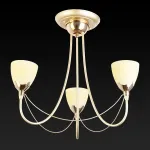 Подвесная люстра TopLight Lucia TL3630X-03MG 