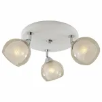 Спот Citilux Самба CL158131 Цвет арматуры хром от ImperiumLoft