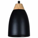 Подвесной светильник Leah TL0724H-2B Toplight