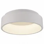 Накладной светильник Arte Lamp 624 A6245PL-1WH Цвет арматуры белый Цвет плафонов белый