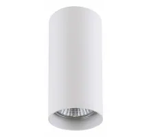 Накладной светильник Lightstar Rullo 214486