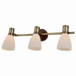 Спот TopLight Sharyl TL3720Y-03BB Цвет арматуры бронза Цвет плафонов белый