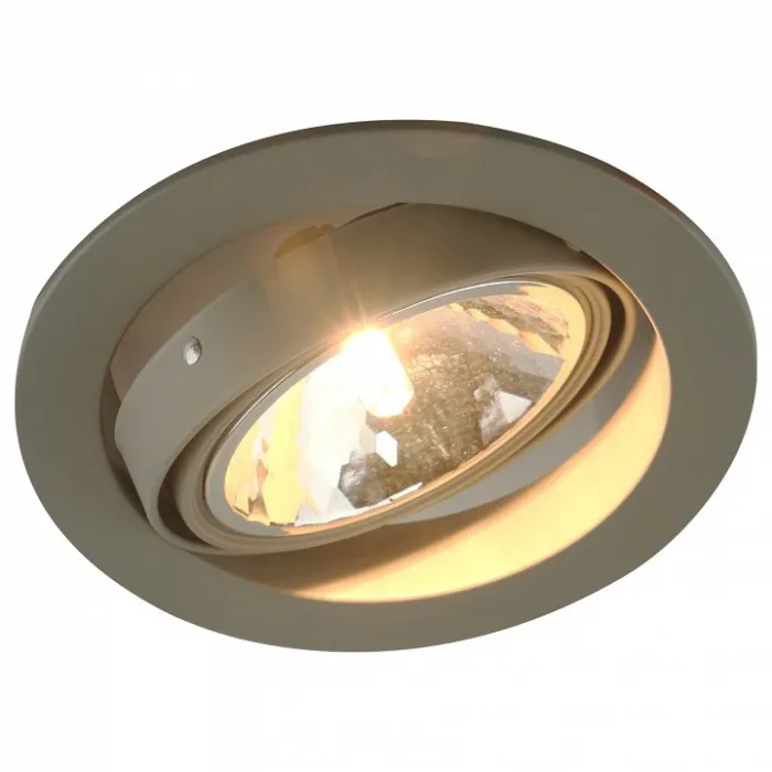 Встраиваемый светильник Arte Lamp 6664 A6664PL-1GY Цвет арматуры серый Цвет плафонов прозрачный от ImperiumLoft