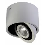 Накладной светильник Favourite Reflector 1775-1C от ImperiumLoft