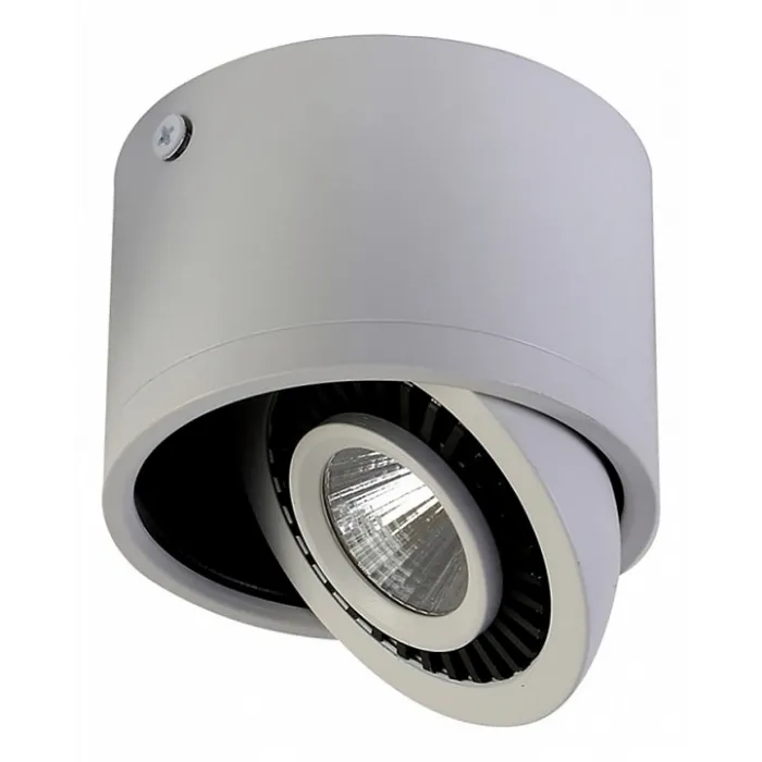 Накладной светильник Favourite Reflector 1775-1C от ImperiumLoft