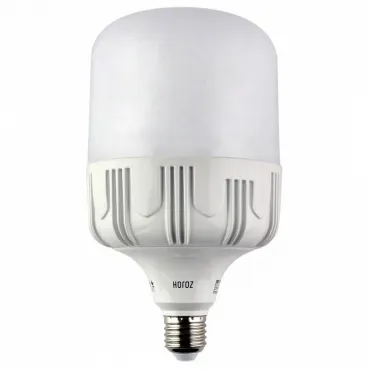 Лампа светодиодная Horoz Electric 001-016-0030 E27 30Вт 6400K HRZ00000005 Цвет арматуры белый от ImperiumLoft