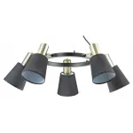 Подвесная люстра Lumion Marcus 3638/5  Подвесная люстра Lumion Marcus 3638/5