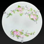Потолочный светильник TopLight Mufi TL9381Y-02WH 