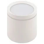 Накладной светильник Denkirs DK401 DK4016-WH цвет арматуры белый цвет плафонов белый от ImperiumLoft