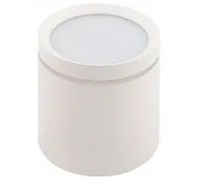 Накладной светильник Denkirs DK401 DK4016-WH цвет арматуры белый цвет плафонов белый
