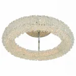 Потолочный светильник Arte Lamp Lorella A1726PL-1CC 