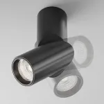 Настенный светильник Maytoni Dafne C027CL-L10B4K