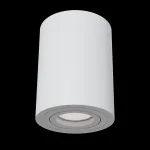 Накладной светильник Maytoni Alfa C016CL-01W Цвет арматуры белый от ImperiumLoft