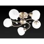 Потолочная люстра TopLight Beryl TL3540X-05AB 