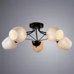 Потолочная люстра Arte Lamp Brighton A2706PL-5CK 