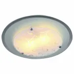 Потолочный светильник Arte Lamp Ariel A4806PL-2CC 