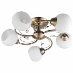 Потолочная люстра TopLight Beryl TL3540X-05AB 