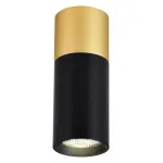 Накладной светильник Favourite Deepak 3074-1C