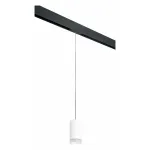 Подвесной светильник Lightstar Rullo PRORP43630