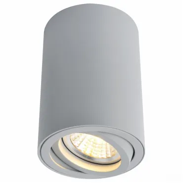 Накладной светильник Arte Lamp 1560 A1560PL-1GY Цвет арматуры серый Цвет плафонов серый